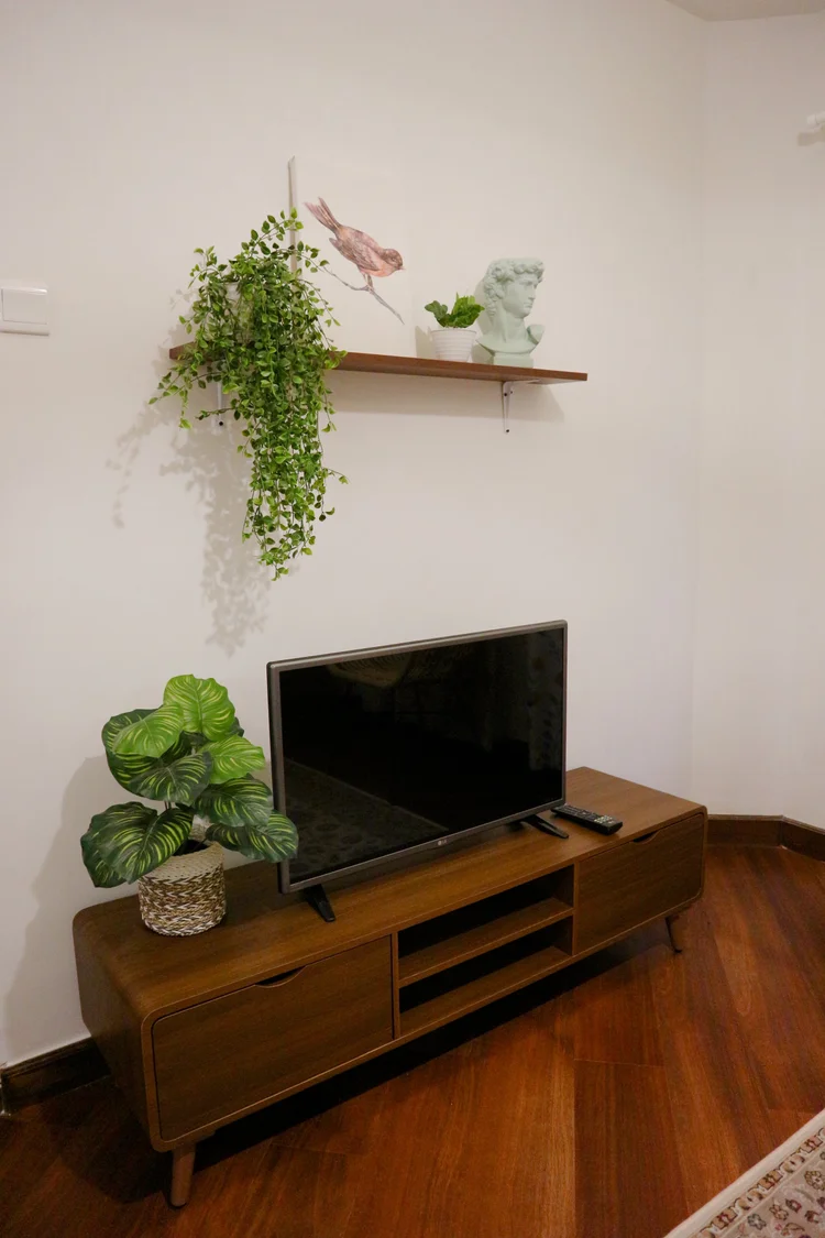 Havana: Smart TV dengan Netflix di ruang keluarga, dengan rak tanaman di sampingnya.